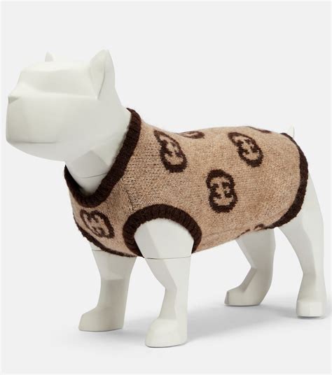 gucci pet sweater